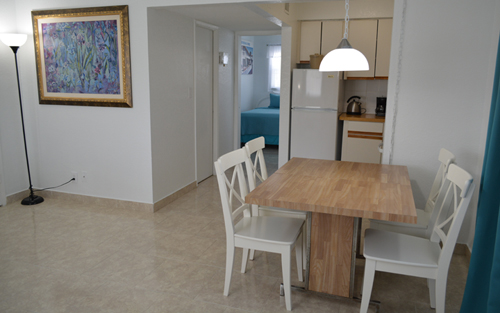 One Bedroom Aparment with Kitchen